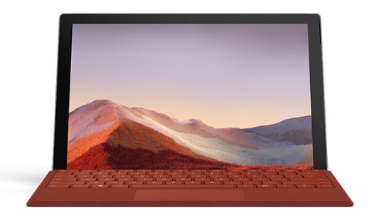 陵城清洁和维护 Surface